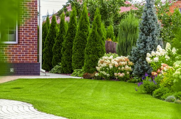 Spring Landscaping in Laguna Niguel