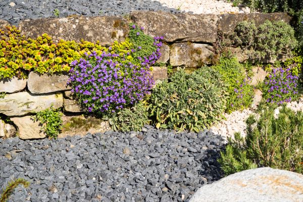 Landscaping Rocks Installation in Laguna Niguel