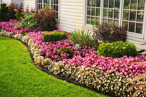 Garden Landscape Design in Laguna Niguel