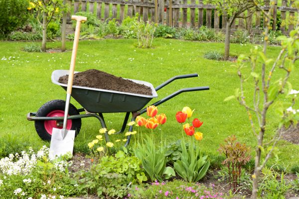Spring Yard Renovation in Laguna Niguel