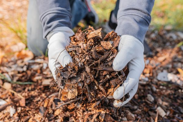 Shredded Mulch Installation in Laguna Niguel