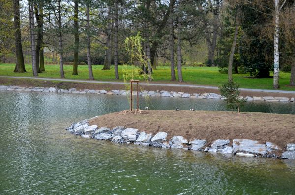 Pond Landscaping Service in Laguna Niguel