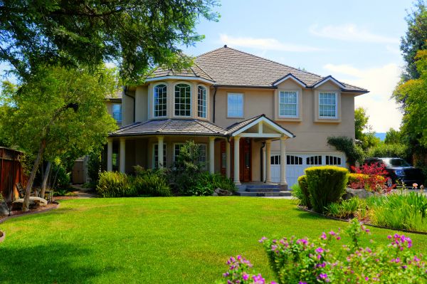 Large Yard Landscaping in Laguna Niguel
