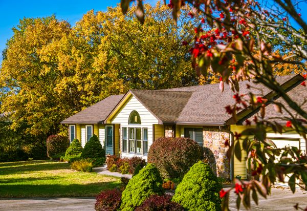 Ranch Landscaping in Laguna Niguel