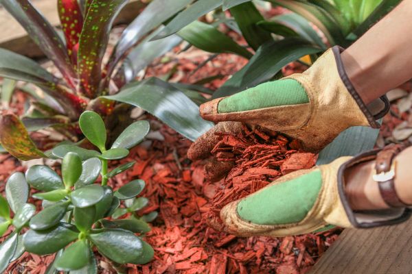 Residential Mulching in Laguna Niguel