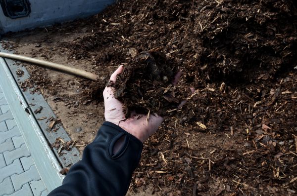 Condo Mulching in Laguna Niguel