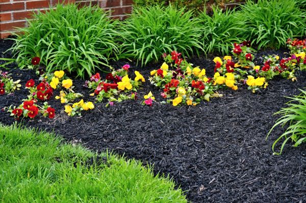 Apartment Mulching in Laguna Niguel