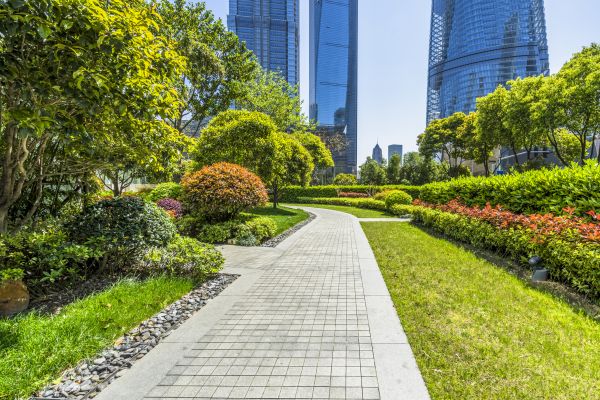 Commercial Landscaping in Laguna Niguel