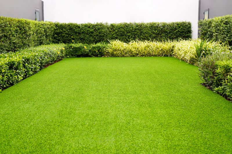 Lawn and Turf Installation